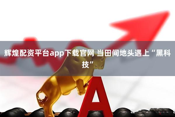 辉煌配资平台app下载官网 当田间地头遇上“黑科技”