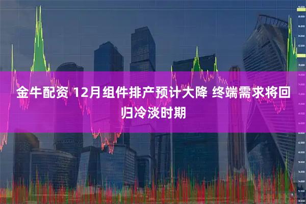 金牛配资 12月组件排产预计大降 终端需求将回归冷淡时期