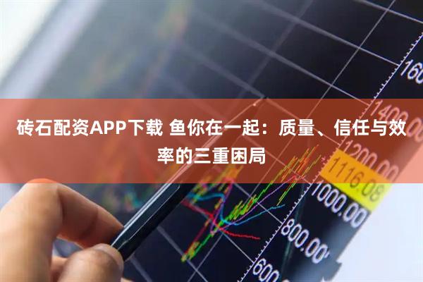 砖石配资APP下载 鱼你在一起:质量、信任与效率的三重困局